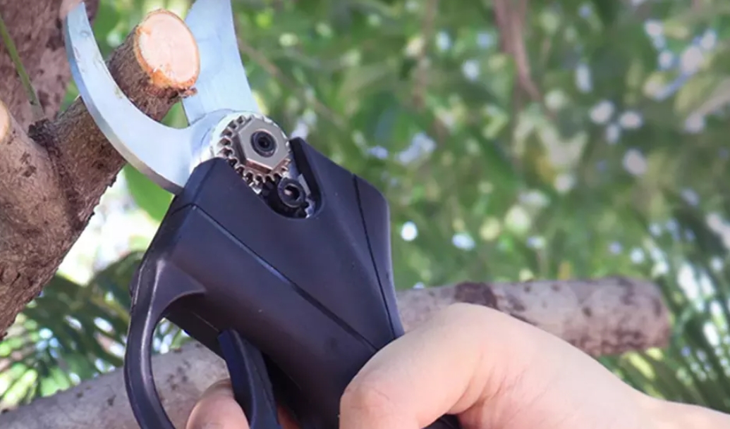 Forbici da potatura elettriche da 48V
